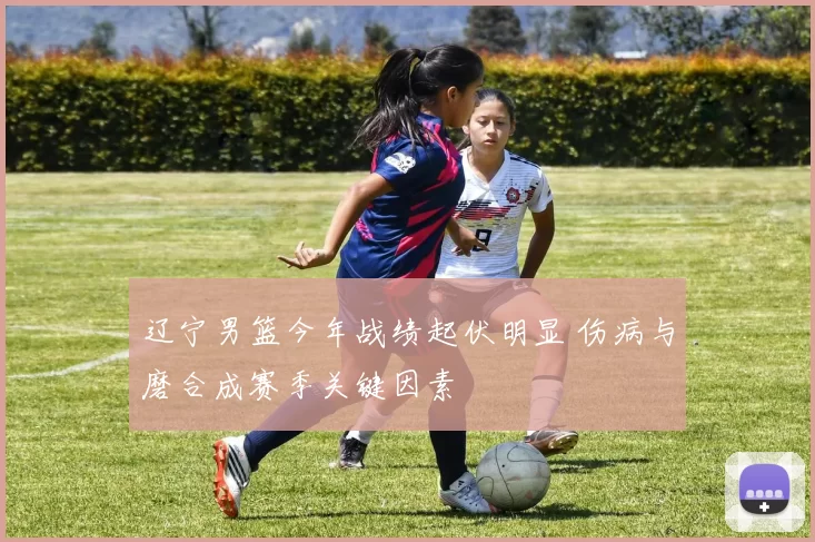 辽宁男篮今年战绩起伏明显 伤病与磨合成赛季关键因素