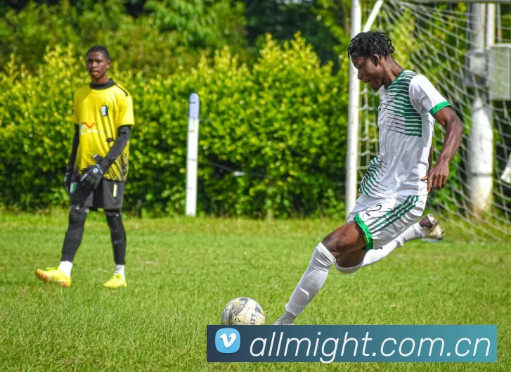 App Interface Preview